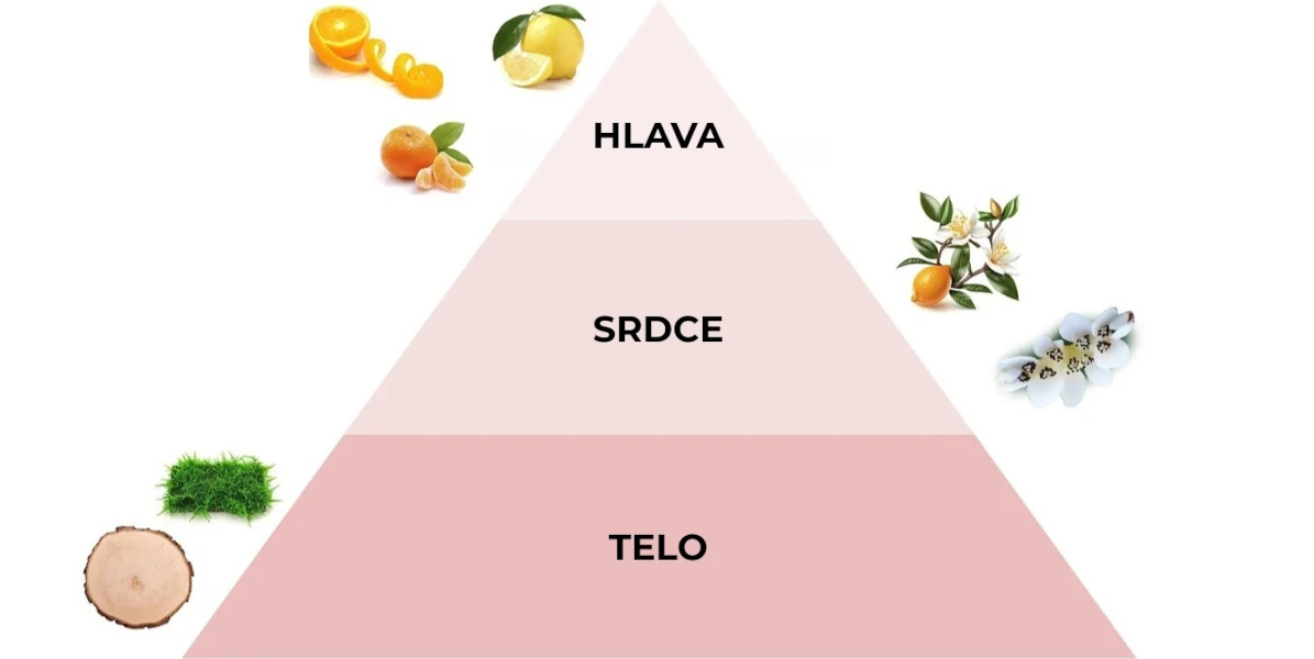 Pyramída vôní parfumovaného spreju Fiori d'Arancio